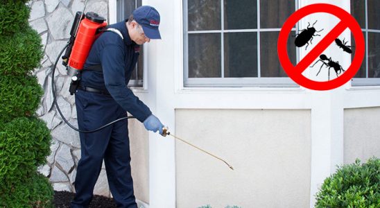 Ağrı Haşere İlaçlama böcek ilaçlama ve haşere kontrolü — ilaclama-tr.com